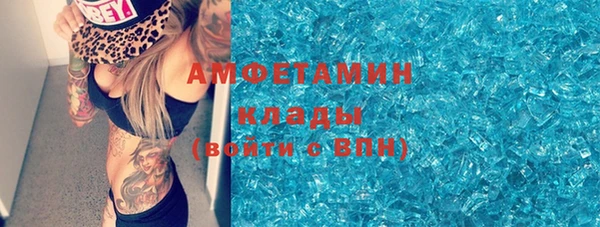 твердый Арсеньев