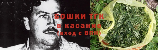 PSILOCYBIN Аркадак