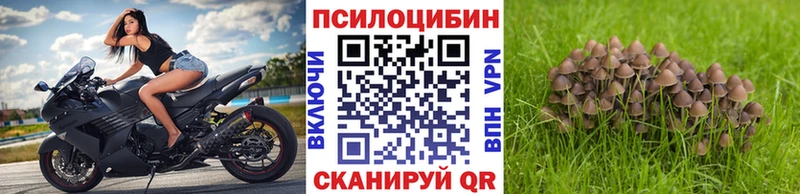 магазин продажи   Полярные Зори  Псилоцибиновые грибы Magic Shrooms 